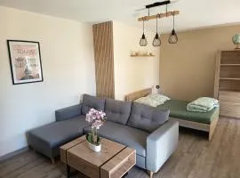 Grand appartement T2 cosy 4 personnes Proche Tours Centre