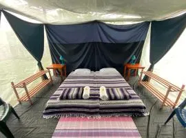 Rainforest Glamping, Forest Bathing in the Osa Region