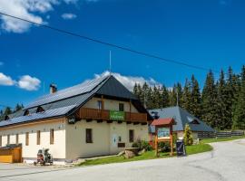 EA Horský Hotel Hájenka，位于莫德拉瓦的酒店