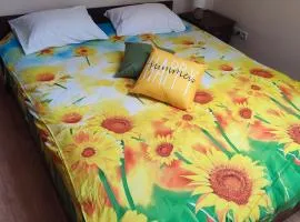 DOBA - Центр - Бограч 2 спальні 5 міс Завжди тепла !