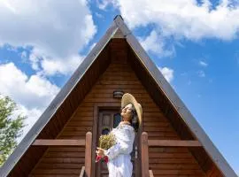 Casa Șoimului - A-Frame