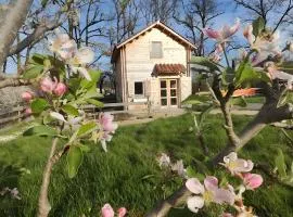 Au chant des oiseaux - rouge gorge