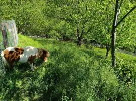 Μικρό κτημα