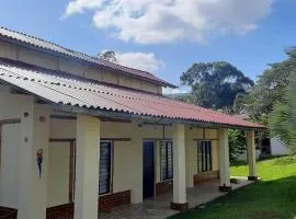 casa bambuza