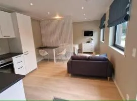 Comfortable apartment with free parking