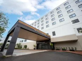 The Pulse Kirishima- Opening in 16th Aug 2025