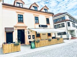 Penzion Chalupa U Městské brány，位于维什科夫的酒店
