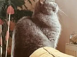 Chez Litchee et Albane