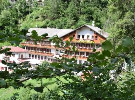Hotel Alpenrose，位于阿莱盖的酒店