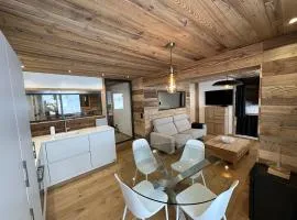 Appartement cosy-spa wellness sur les pistes