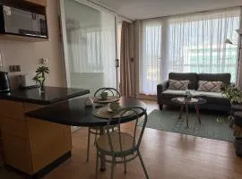 Dpto 1 Dormitorio cercano Aeropuerto, Concepción