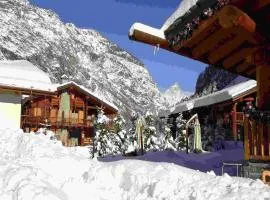 Pet-Friendly Mountain Escape