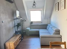 Uroczy apartament z dostępnym parkingiem i ogrodem