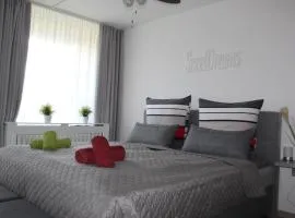 App mit Klima, Pool, Garage für Auto, Bike, Skier, AktivCARD optional