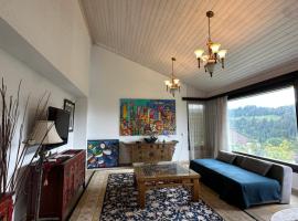 Beautiful apartment near Luzern, view to Rigi,Pilatus Mountain，位于卢塞恩的酒店