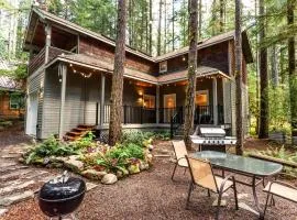 Mt. Baker ski stash, fast Wi-Fi, pets ok