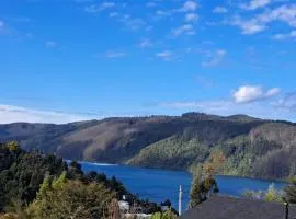 Cabaña Acogedora con Vista al Rio Valdivia, Niebla