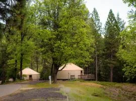 Yosemite Lakes Yurts