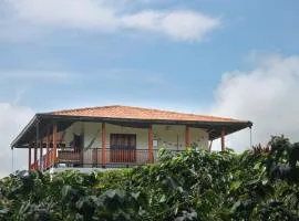 Finca La Coqueta Coffee Farm