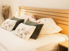 Pissenlit Une Prairie en Provence