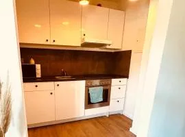 Charmantes Einzimmer-Apartment in zentraler Lage