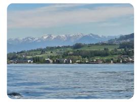 Holzchalet mit Garten und Terrasse，位于Egnach的酒店