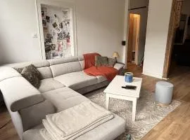 Le Quai d Aristide - 1 Chambre