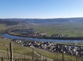 Ferienhaus Klara，位于施魏希的乡村别墅