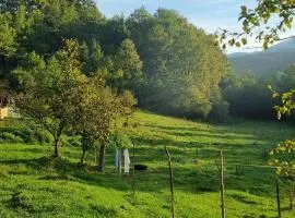 Bad and Breakfast Majestik