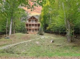 Cozy Stone Cabin Retreat Near Beech Ski Slopes