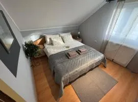 Prostran moderan apartman110 kvadrata u centru- 2 spavaće sobe, parking u dvoristu