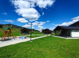 Lemont，位于Ciocăneşti的别墅