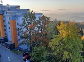 Ferienwohnungen Adri im Ferienpark Geyersberg，位于弗赖翁的酒店