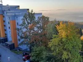 Ferienwohnungen Adri im Ferienpark Geyersberg