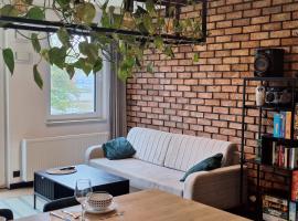 Apartament LOFT，位于普鲁什库夫的酒店