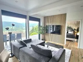 Moderne 3-Zimmer-Wohnung mit Panoramablick