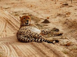 Radisson Safari Hotel Hoedspruit，位于侯斯普瑞特的Spa酒店