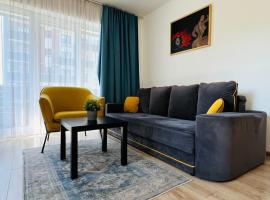 Apartment Richy Brasov，位于布拉索夫的酒店