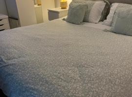 Basement studio apartment，位于巴利纳的宠物友好酒店