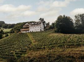 THE HUS am Weinberg，位于Flums的酒店