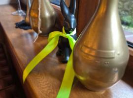 Rezydencja Izabella，位于维斯瓦的酒店