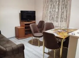 Apartment in Jermuk