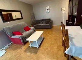 Tram 50 m, Balcon, Parking facile