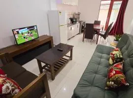 CBD Entire Apartment, Double bed and sofa bed, free wifi, parking