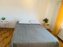 Ovidius apartament，位于Cisnădie的酒店