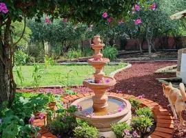 Cabañas en arcos del sitio