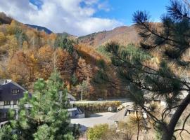 WEGA Star Apartmani，位于布尔泽策的酒店