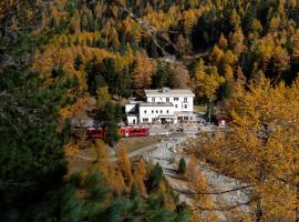 Hotel Morteratsch，位于蓬特雷西纳的酒店