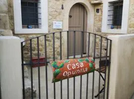 Casa Opuntia