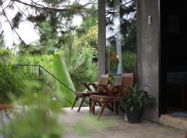 Pine Peak Bao Loc，位于Ấp Th&aacute;nh Hương的木屋